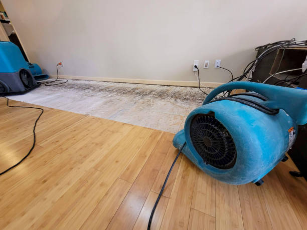 Professional Water Removal technician working in Toledo, IA